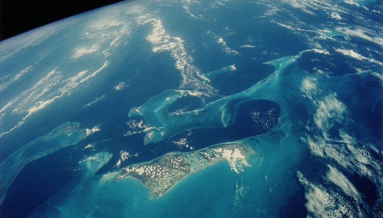 The Amount of College Education Requirements For a Marine Biologist