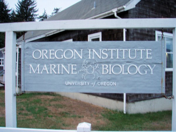 Oregon Institute of Marine Biology - Charleston, OR - Universities and
