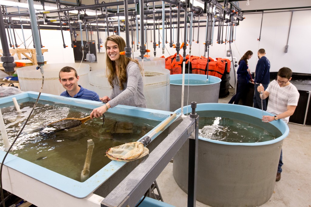 UNE ranked among top colleges and universities for marine science by
