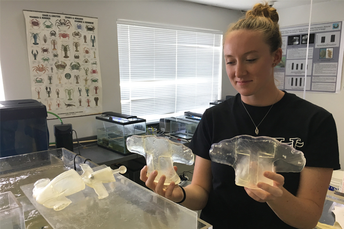 The University of Tampa - Tampa, Florida - Bachelor of Science in