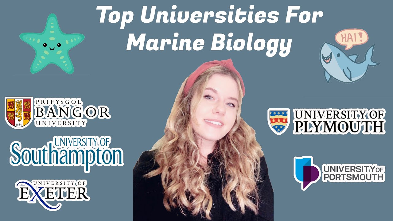 Top Universities for Marine Biology // UK edition - YouTube