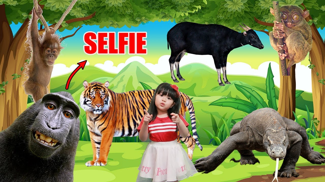 Animals Found In Indonesia - 10 Wild Native Animals That Live In