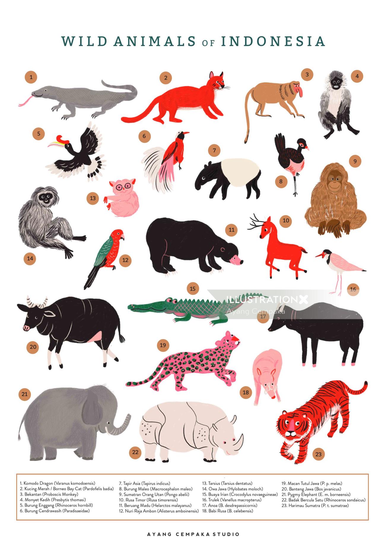 Indonesia Animals : Indonesian Plants And Animals Indonesia Research