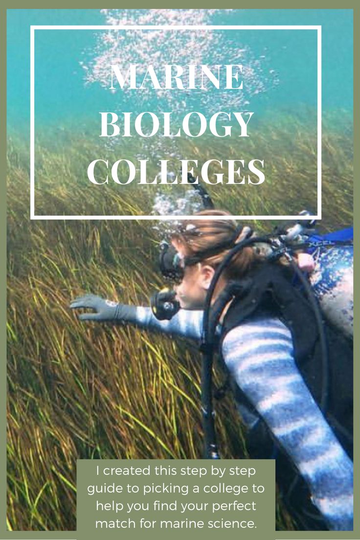 Marine Biology Colleges in 2021 | Biology college, Marine biology, Biology