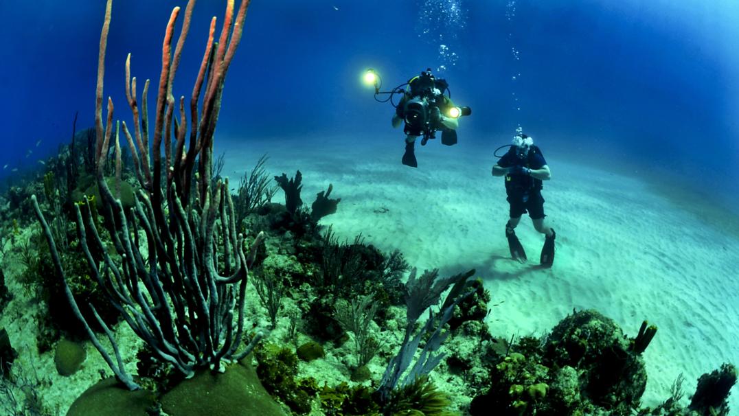 10 Colleges With a Marine Biology Major - Encourage