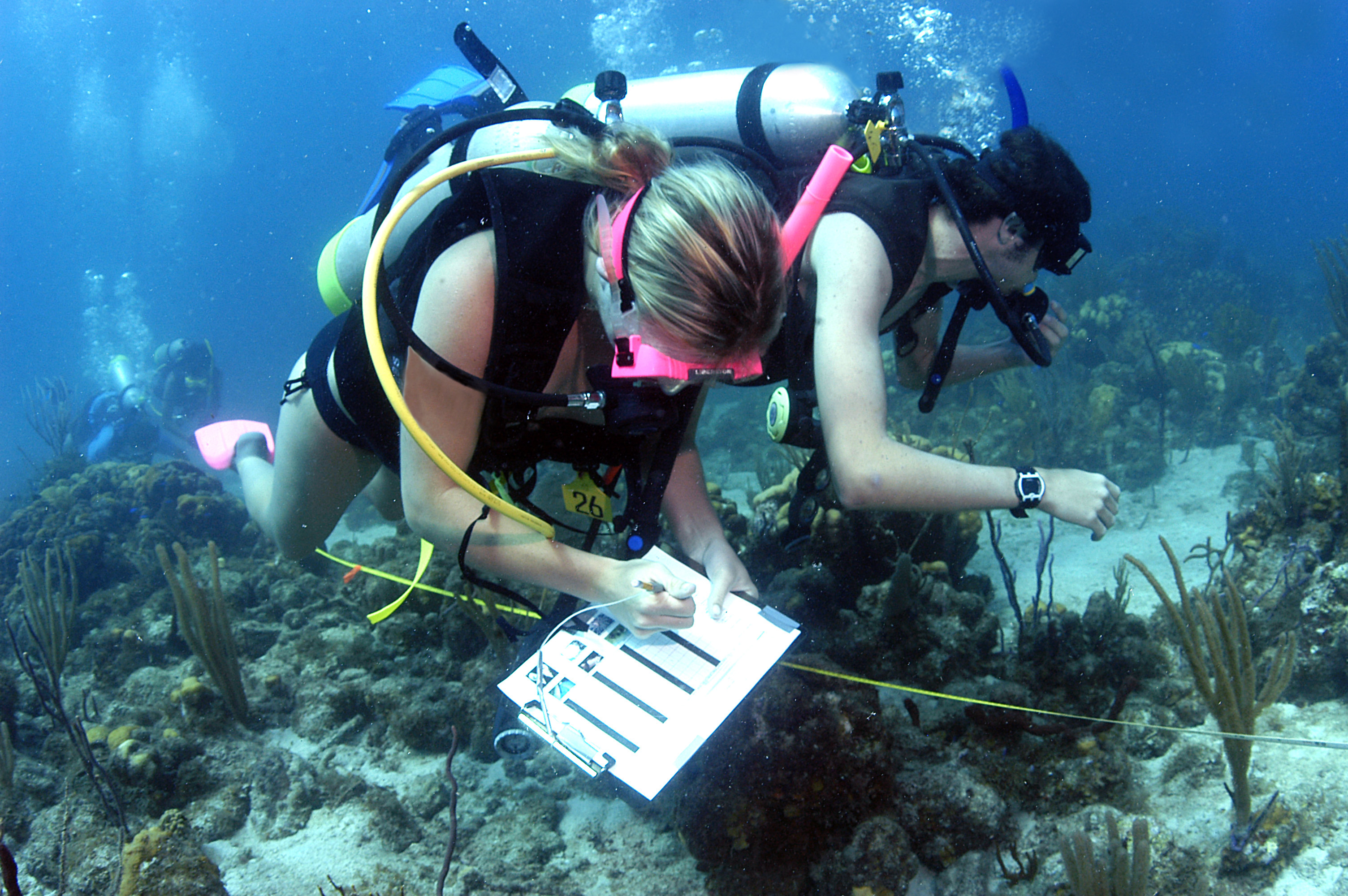 How to Select a Marine Biology Program