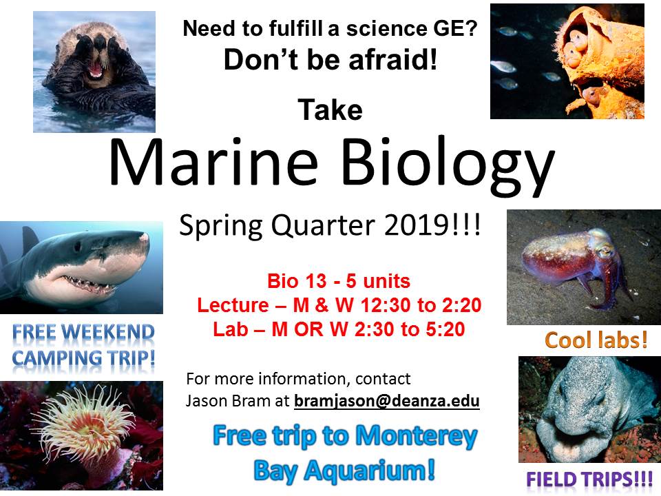 2021-2022 DASB Budget Request Submissions