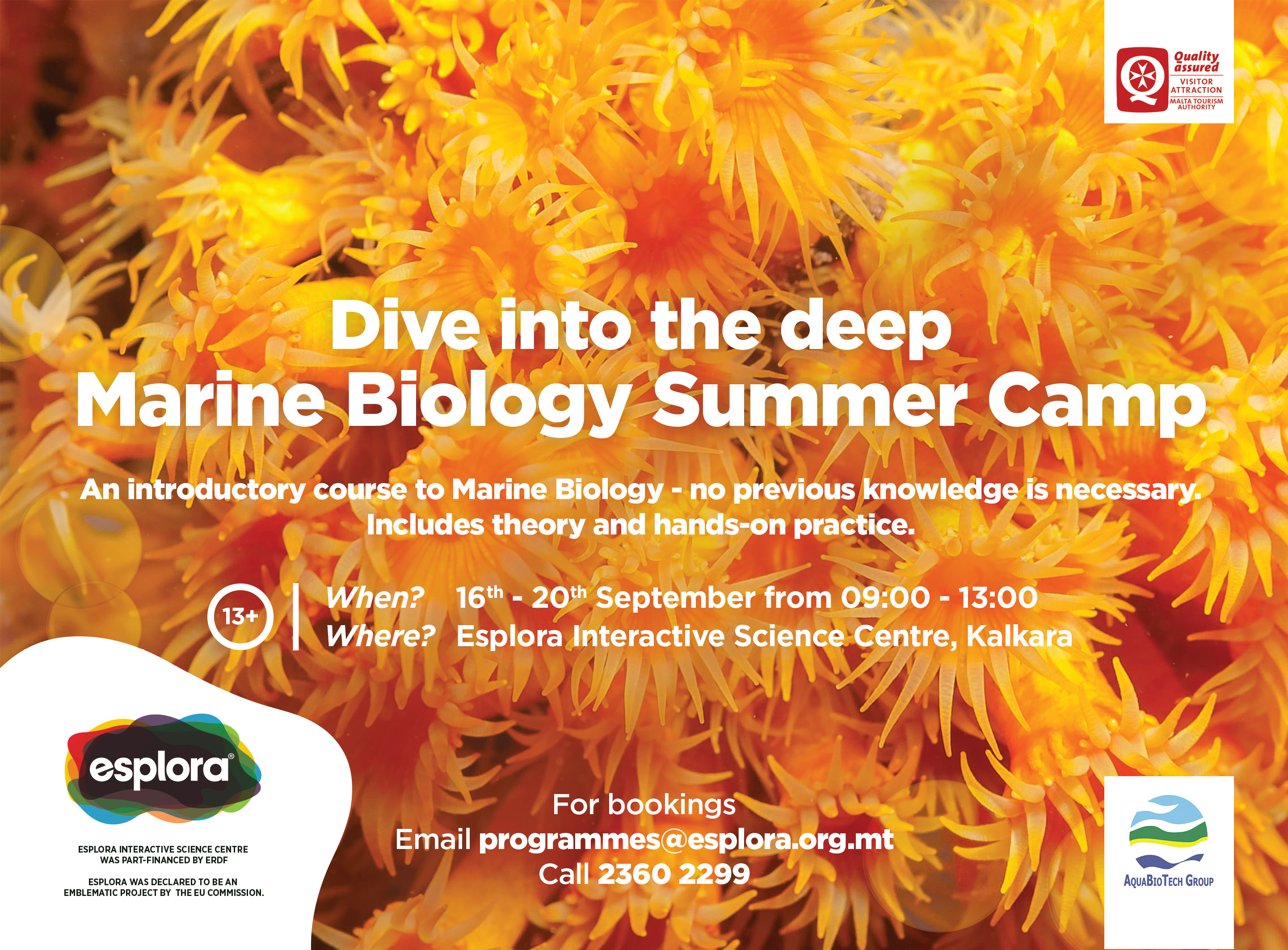 Marine Biology Summer Camp (13+) 2019 « Esplora