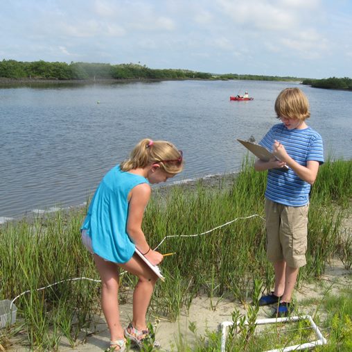 Articles - Join Us for Marine Biology Camp this Summer! - Whitney