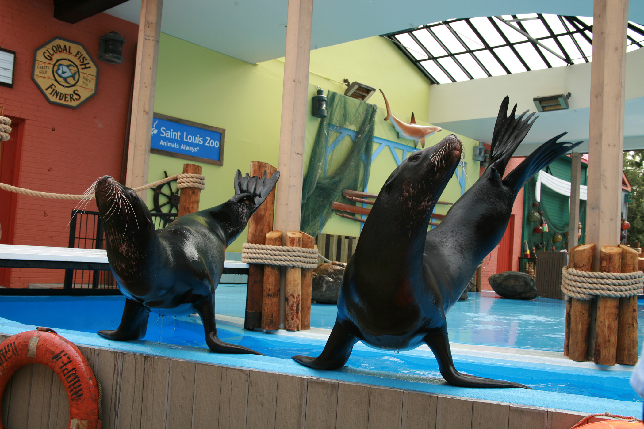 Marine Biology and Oceanography | Kaleidoscope Adventures