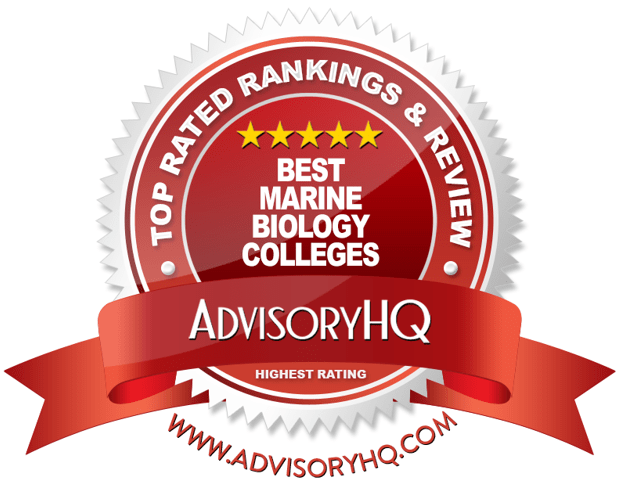 Top 6 Best Marine Biology Colleges | 2017 Ranking | Top & Good Colleges