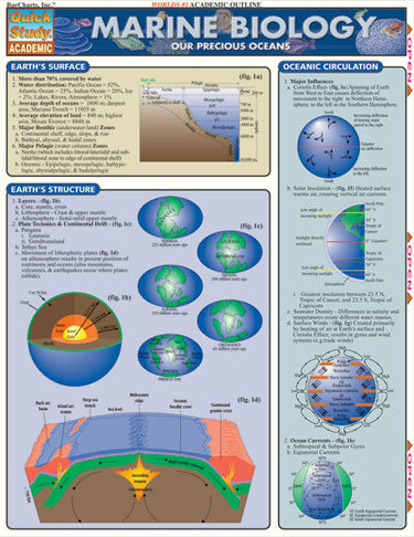 Marine Biology Bar chart - What If Scientific - Leave Only Bubbles, LLC