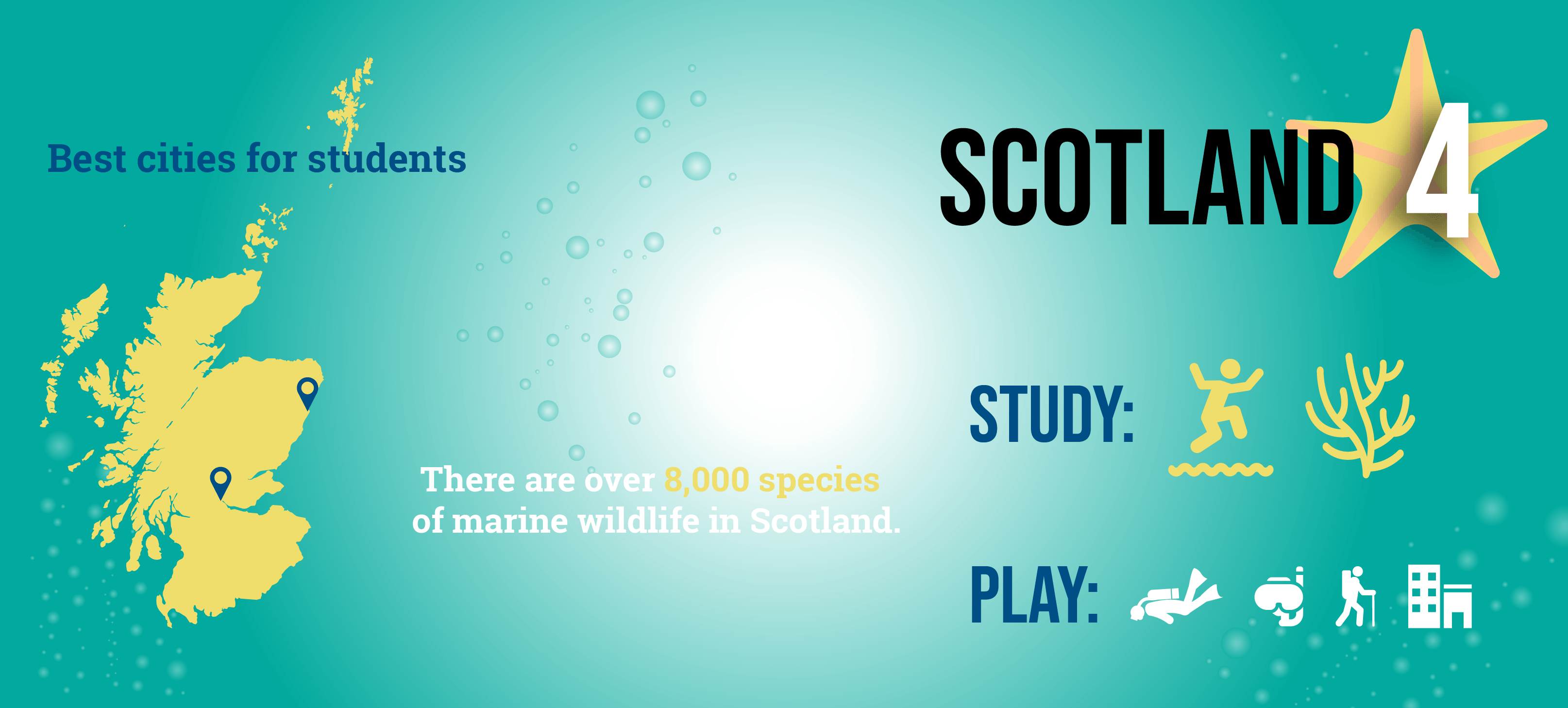 5 Best Places for Marine Biology Summer Programs Abroad