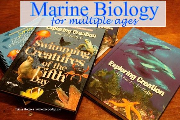 23 best images about Marine Biology on Pinterest | Biologist, Ocean