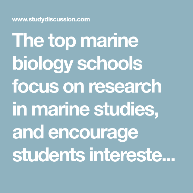 The top marine biology schools focus on research in marine studies, and