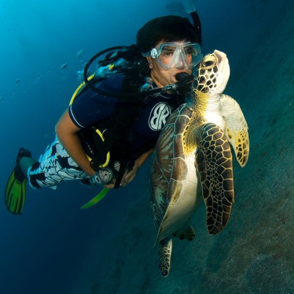 Broadreach: Caribbean Tropical Marine Biology | Go Overseas