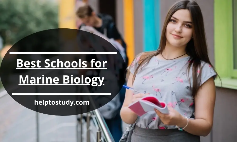 Best Schools for Marine Biology