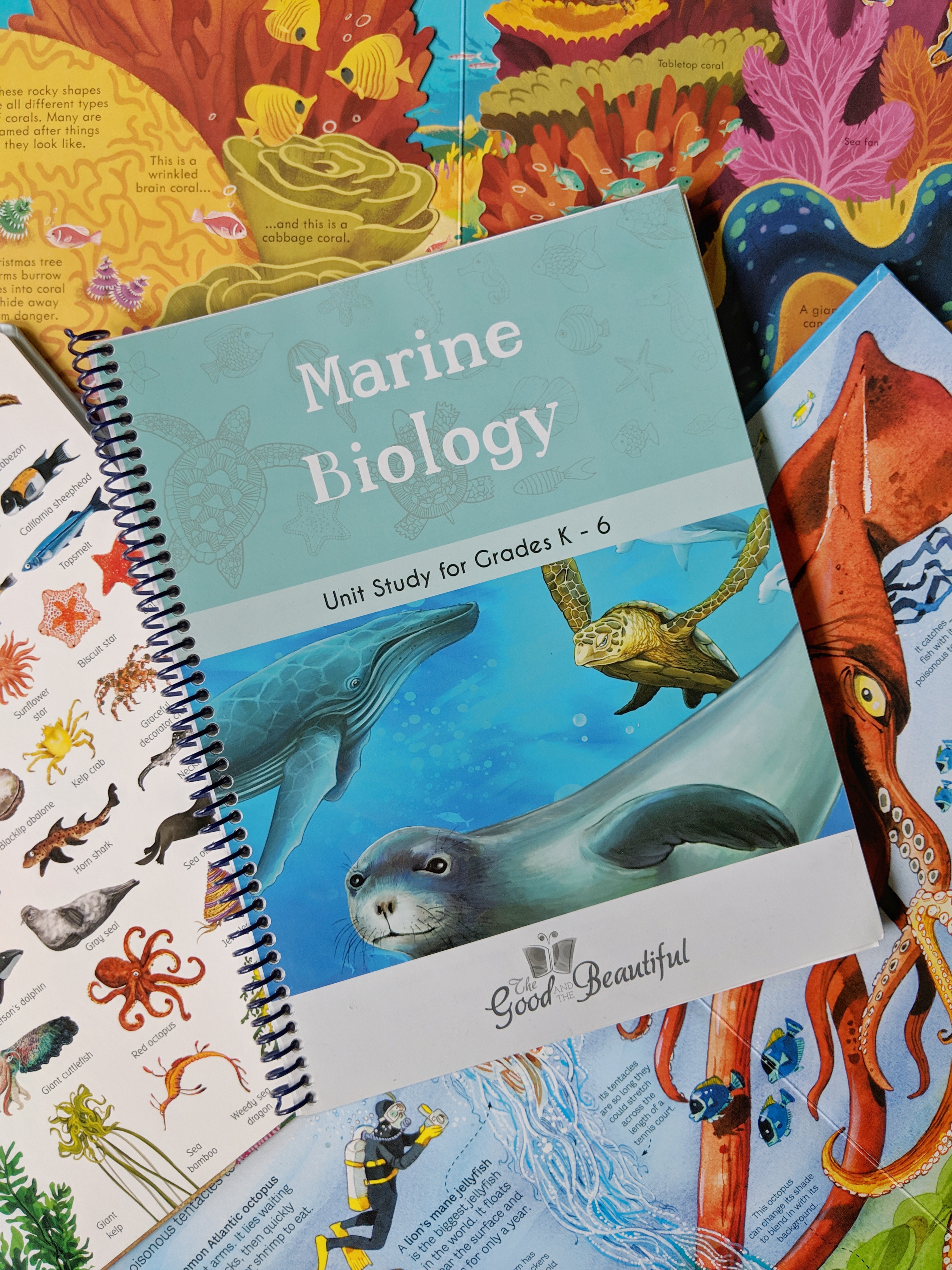 Marine Biology Unit Study Resource List - Feathers in Our Nest