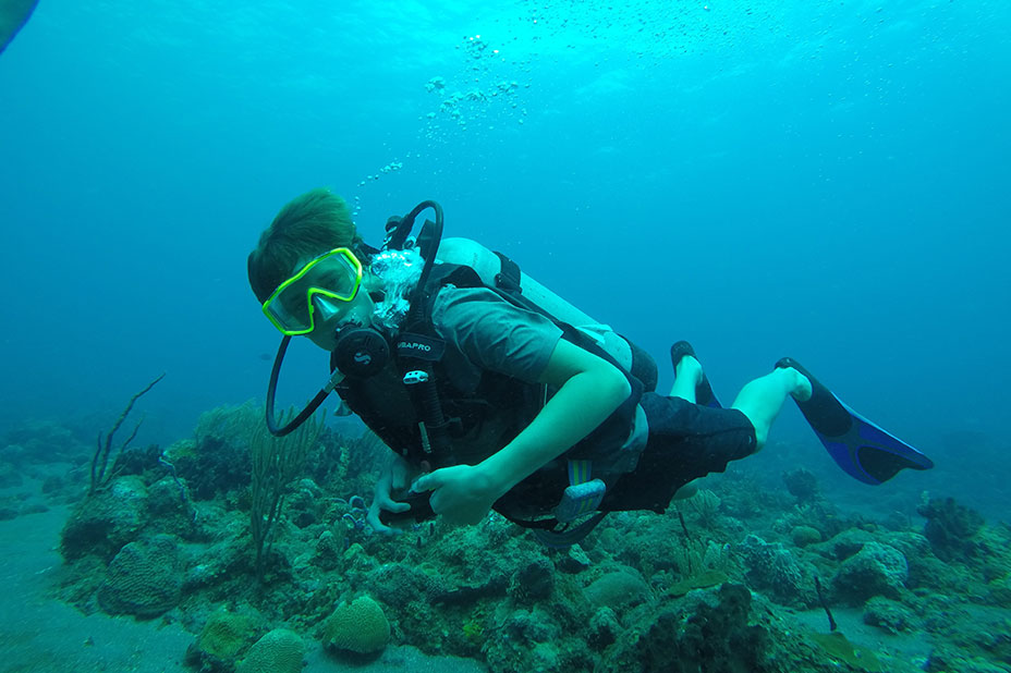 Dolphin Adventure | ActionQuest Summer Camp for Teens