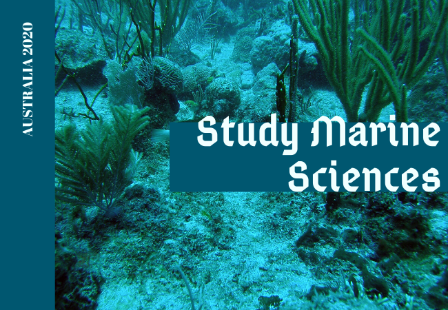 Best Universities To Study Marine Biology In The World - Study Poster