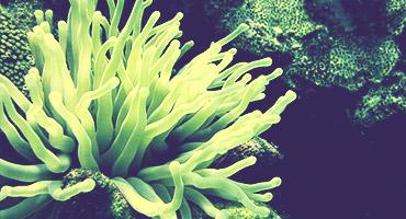 Marine Biology Study Abroad Programs & Reviews | GoAbroad.com