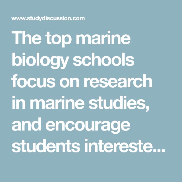The top marine biology schools focus on research in marine studies, and
