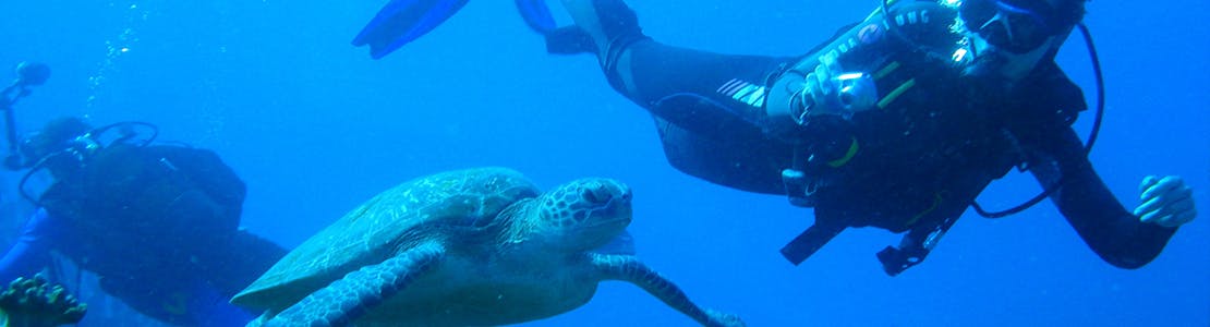 Environmental Science Internships For Students & Graduates