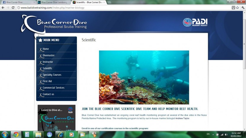 Marine biology & divemaster internships | PADI AWARE