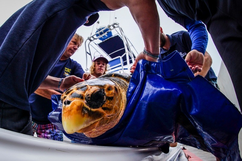 Marine Biology Internship | Totally Travel | Year13