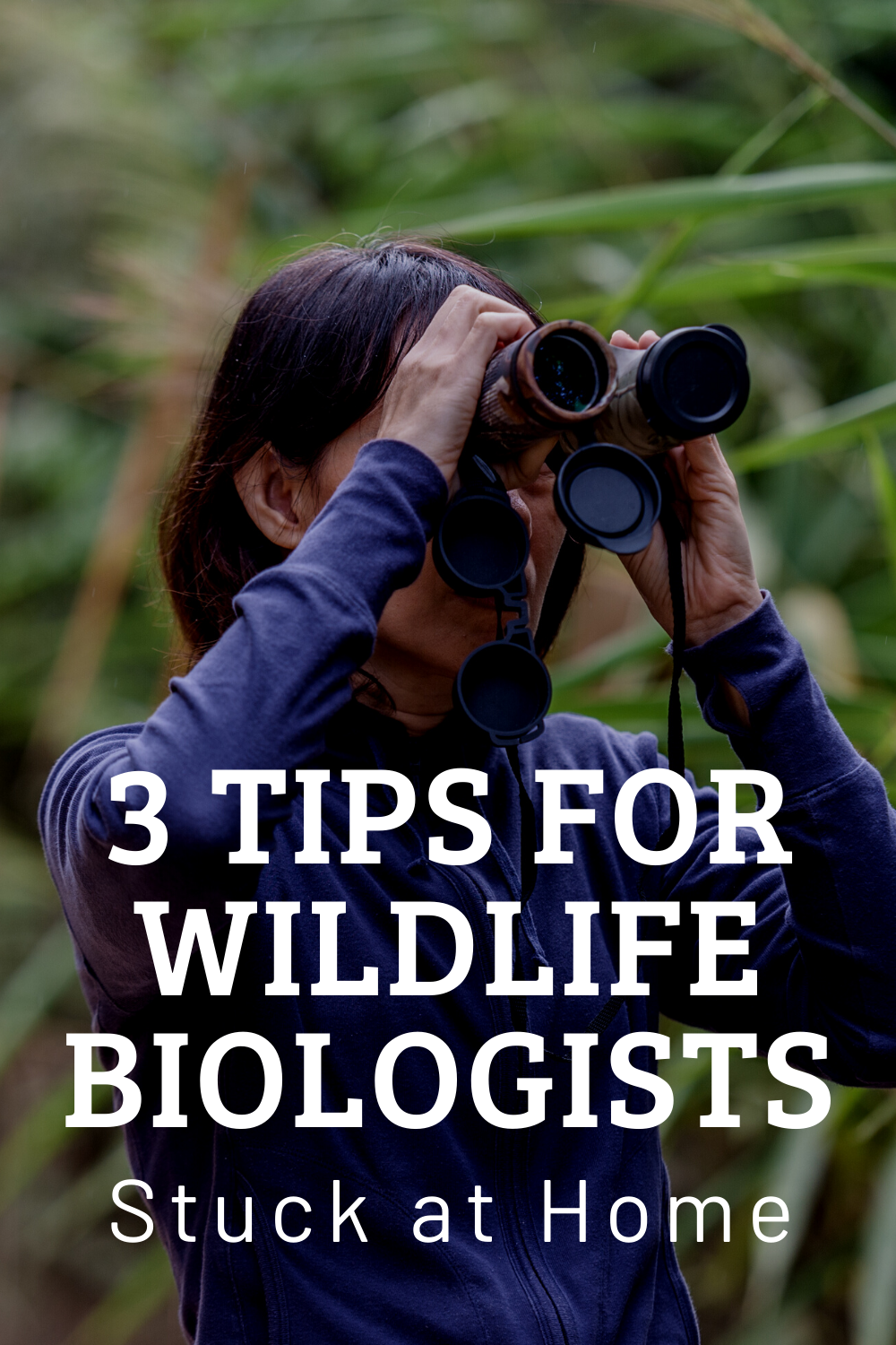 Wildlife Biology Internships Summer 2021 - Wildlife Aestetic 2021