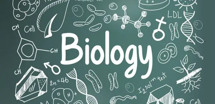 Biology Internships - 2022 2023 Big Internships