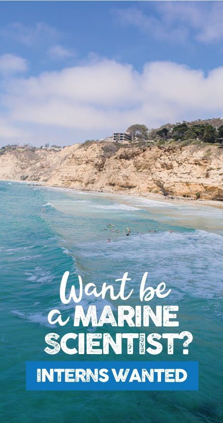 Boost that resume! #internships #marinebiology #summerjob InterpreTEENS