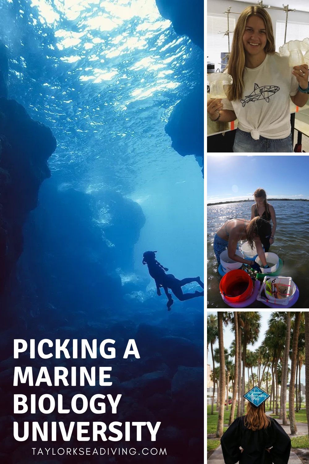 Picking a Marine Biology University in 2021 | Marine biology, Marine