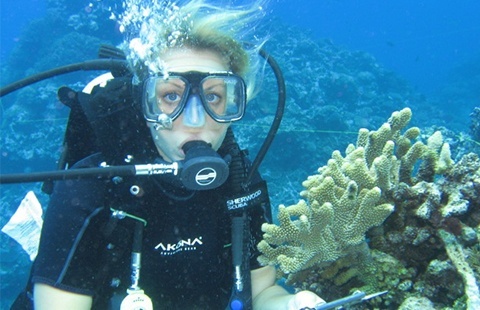 Marine Science Internships | Real Gap Experience