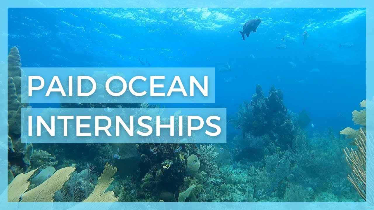 my advice to future marine biology students - YouTube