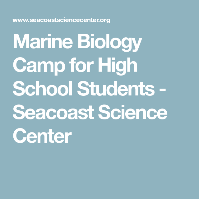 Marine Biology Camp for High School Students - Seacoast Science Center