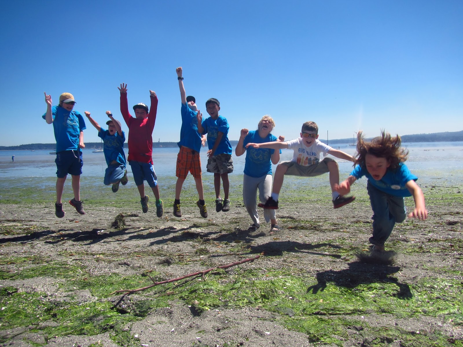 PTMSC Blog : Marine Biology Camp 2013