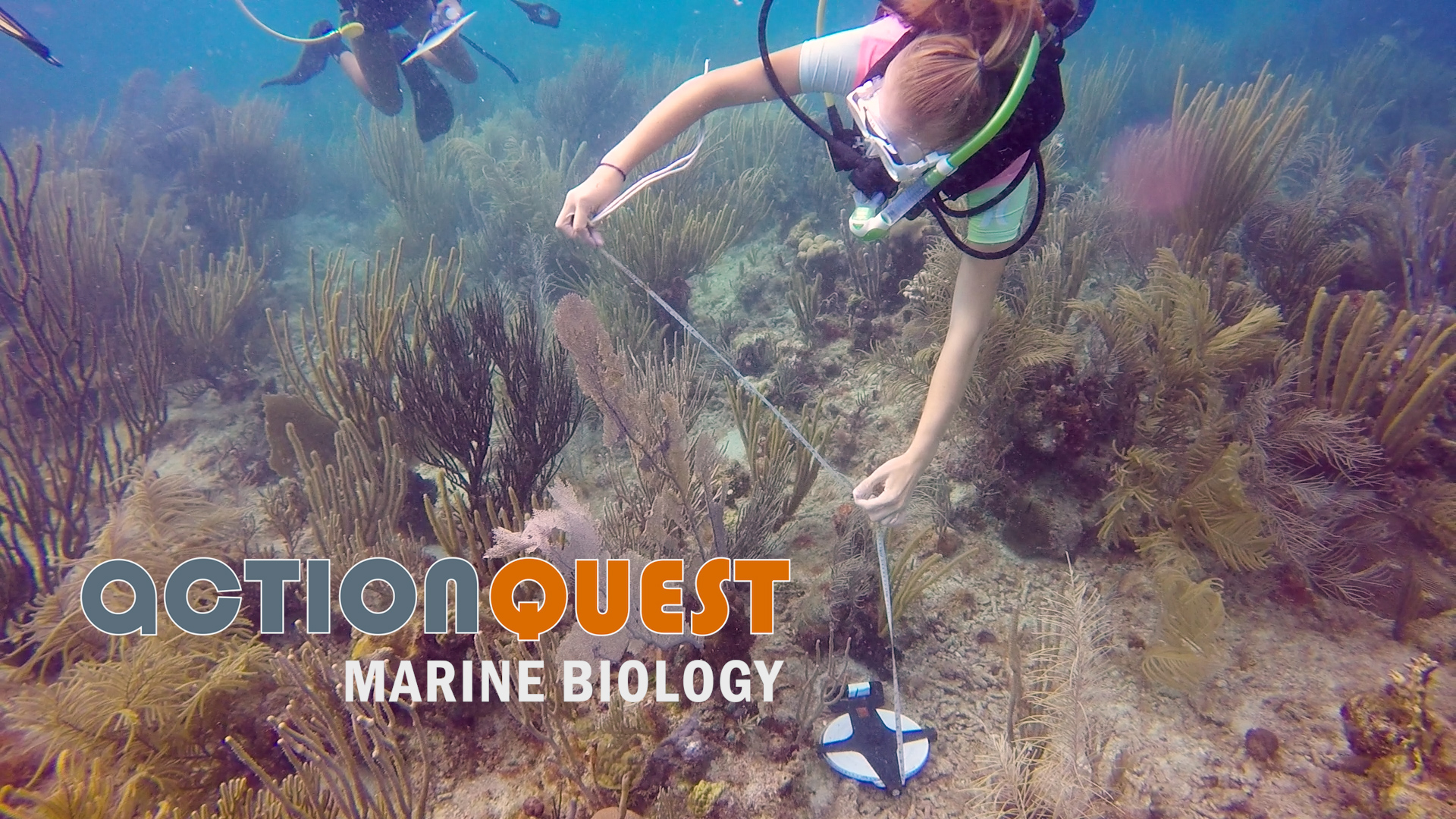 Marine Biology Summer Camps and Programs for Teens | ActionQuest