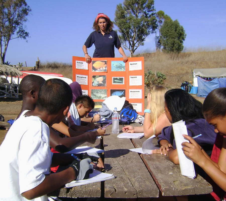 Catalina Marine Biology Camp | Mountain and Sea Adventures