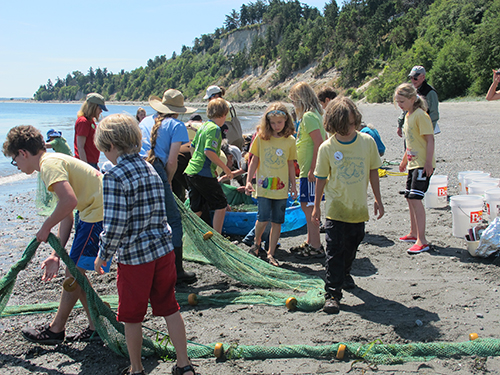 Marine Biology Day Camp: 7/24-28 | Port Townsend Marine Science Center