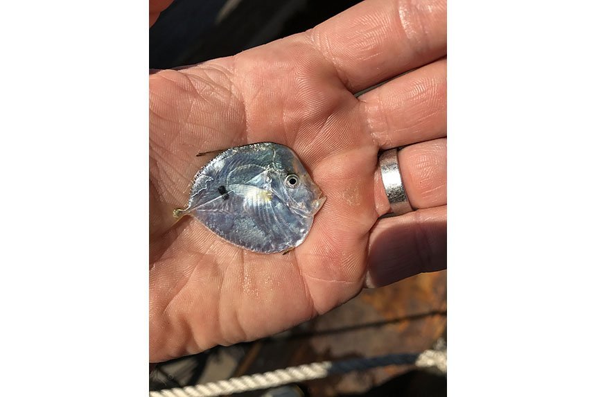 Marine Biology Camp | Roger Williams University