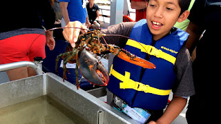 Marine Biology Camps For Kids - Marine Choices