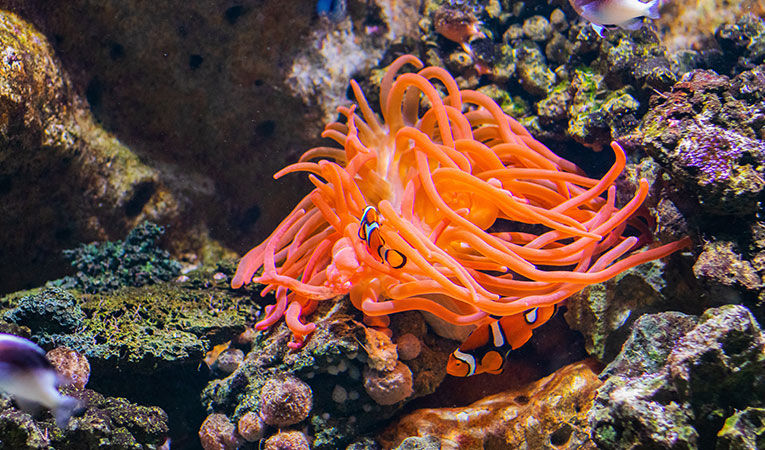 Get Your Feet Wet With These 9 Marine Biology Internships...