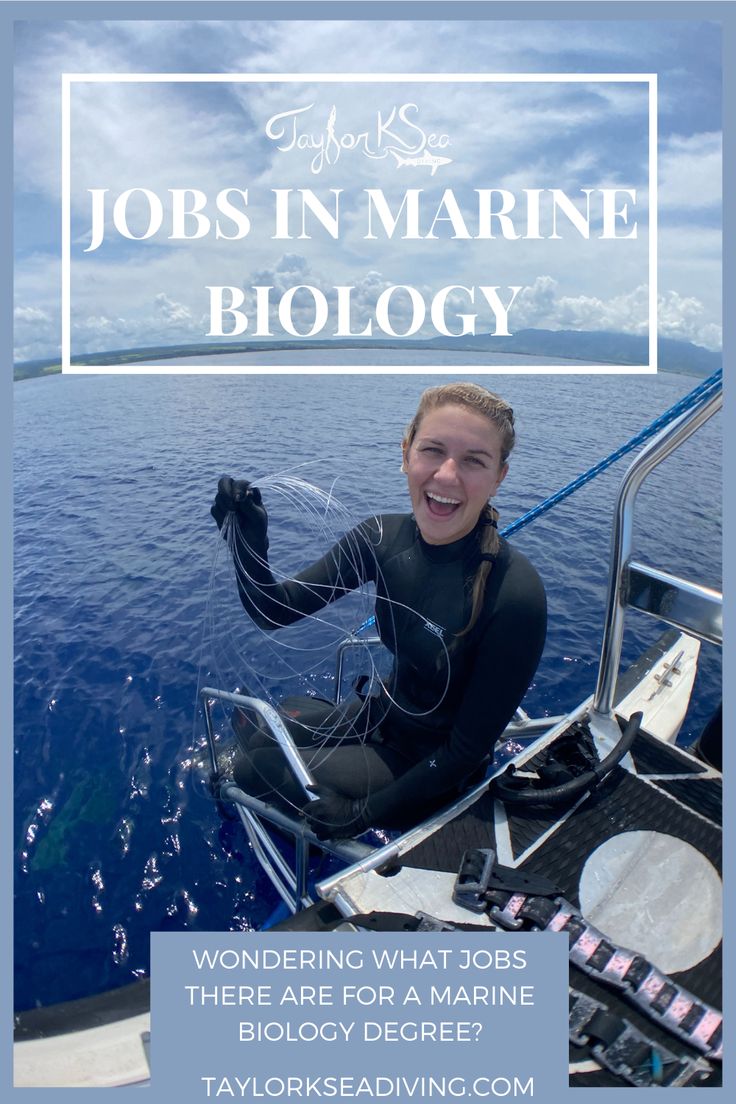 Jobs in Marine Biology - Fields of Study in 2021 | Marine biology