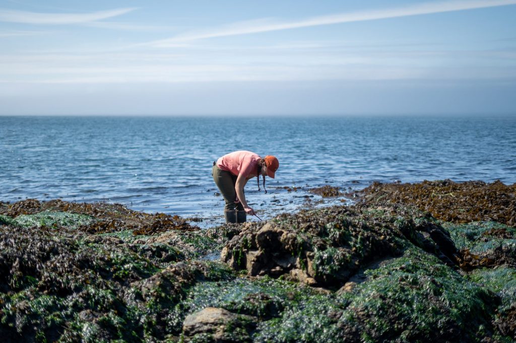 Undergraduate Research | Marine Biology