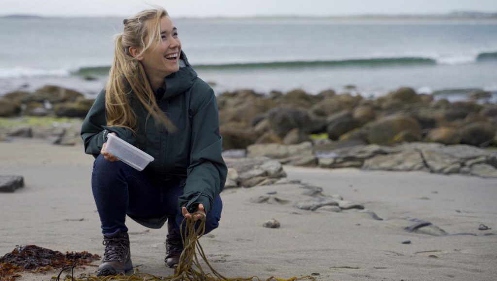 Scholarships for Marine Biology