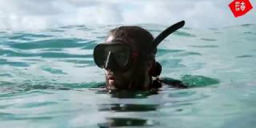 Bachelor of Marine Biology | University of Technology Sydney