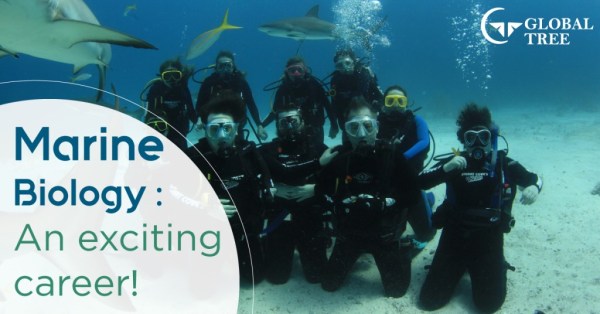 Trusted Overseas Education Consultant | Global Tree