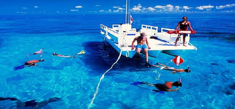 Marine Biology Camp for Homeschoolers - Master's Mark Academics