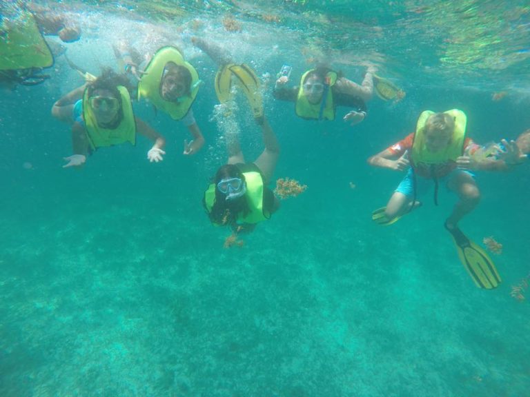 YMCA Junior Marine Biology Summer Camp – Historic Virginia Key Beach Park